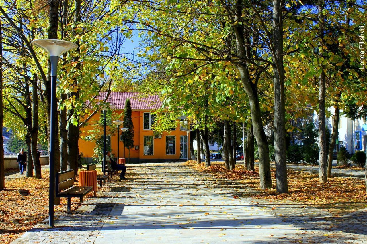 Hotel Our House Borjomi Exterior foto